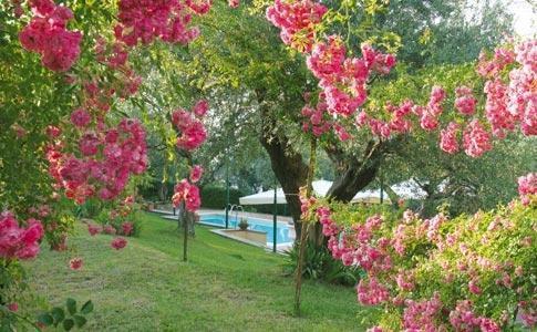 Hotel Villa Vecchia Monte Porzio Catone Exterior foto
